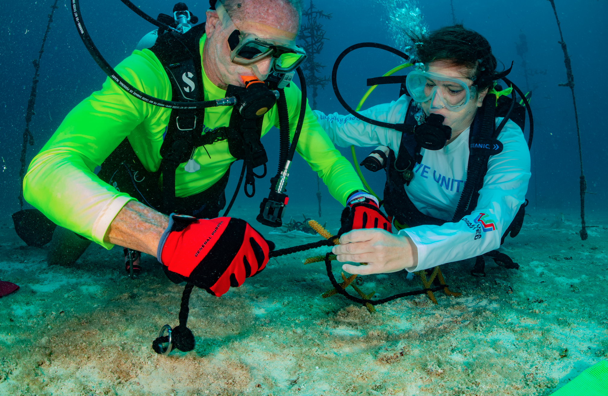 United Way Coral Bleaching