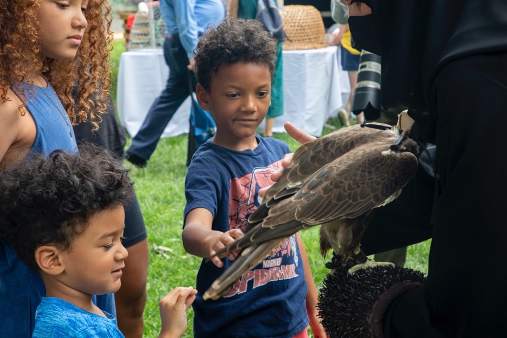 Children petting a trained falcon