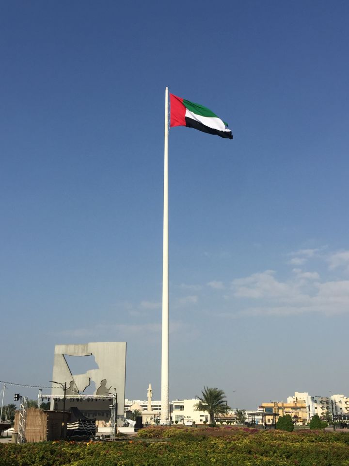 UAE flag