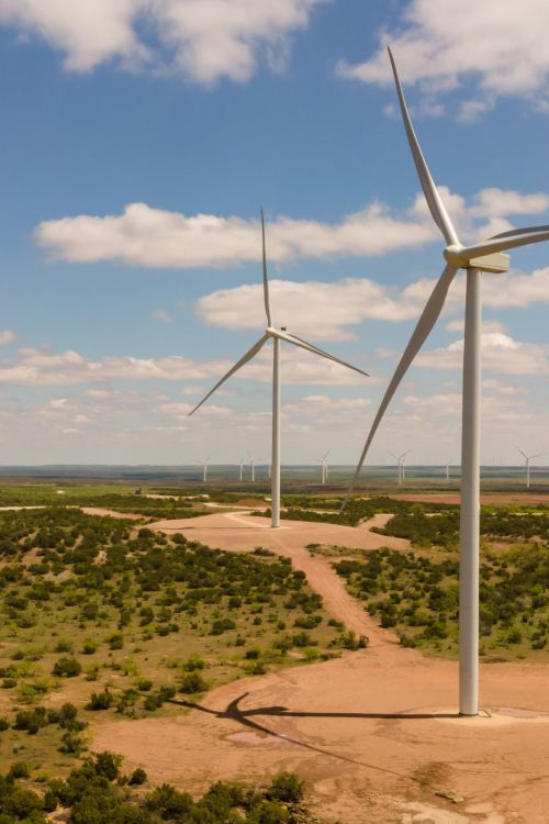 Wind turbines in the UAE