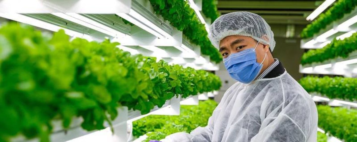 Launching Agriculture Innovation Mission for Climate