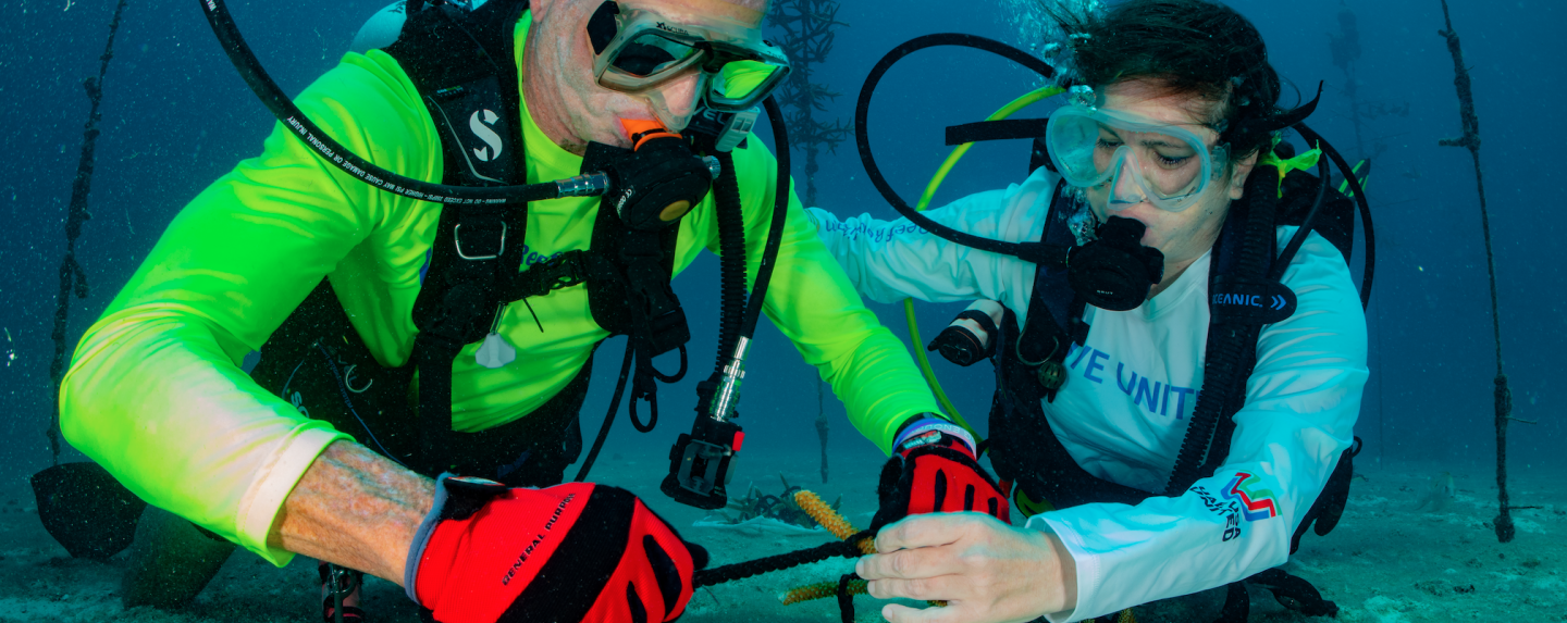 United Way Coral Bleaching