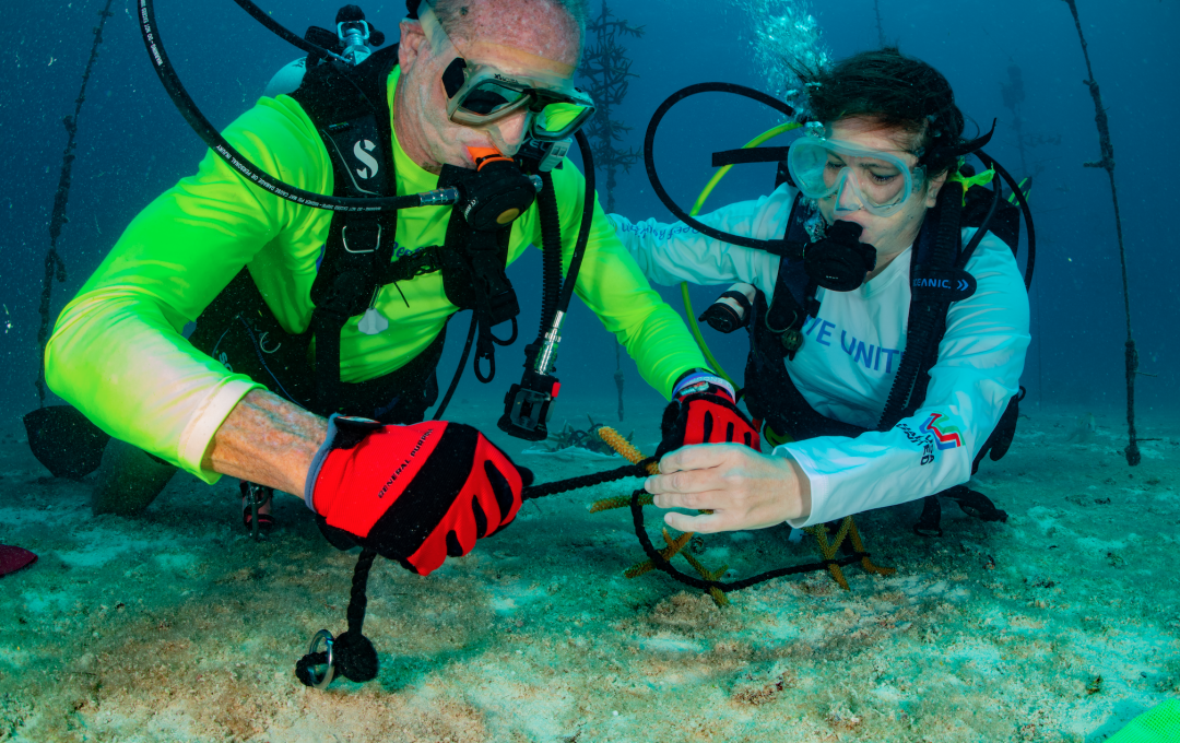 United Way Coral Bleaching