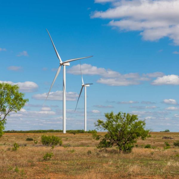 Photo of wind turbines