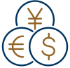 Currency icon